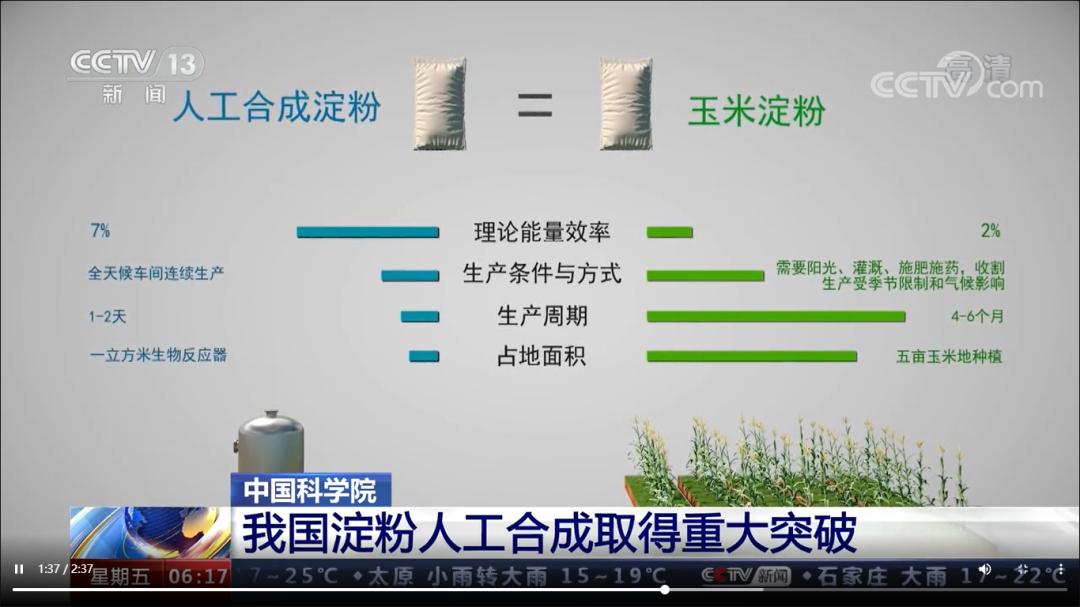 人工合成淀粉_生物碳粉_合成生物学碳中和