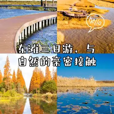 东滩湿地公园三日游攻略_东平国家森林公园西沙湿地旅行体验_东滩湿地公园旅游景点大全