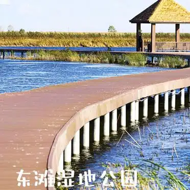 东滩湿地公园三日游攻略_东平国家森林公园西沙湿地旅行体验_东滩湿地公园旅游景点大全