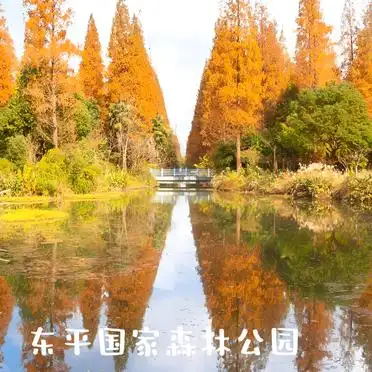 东平国家森林公园西沙湿地旅行体验_东滩湿地公园旅游景点大全_东滩湿地公园三日游攻略
