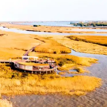 东平国家森林公园西沙湿地旅行体验_东滩湿地公园旅游景点大全_东滩湿地公园三日游攻略