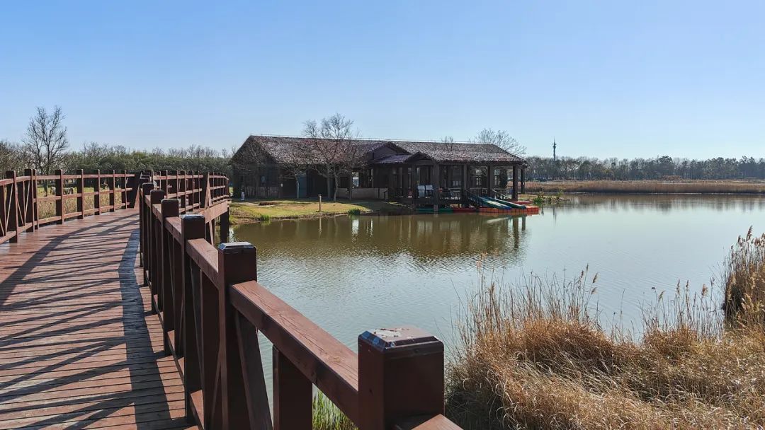 崇明东滩湿地公园骑行_崇明东滩湿地公园赏花_东滩湿地公园旅游景点大全