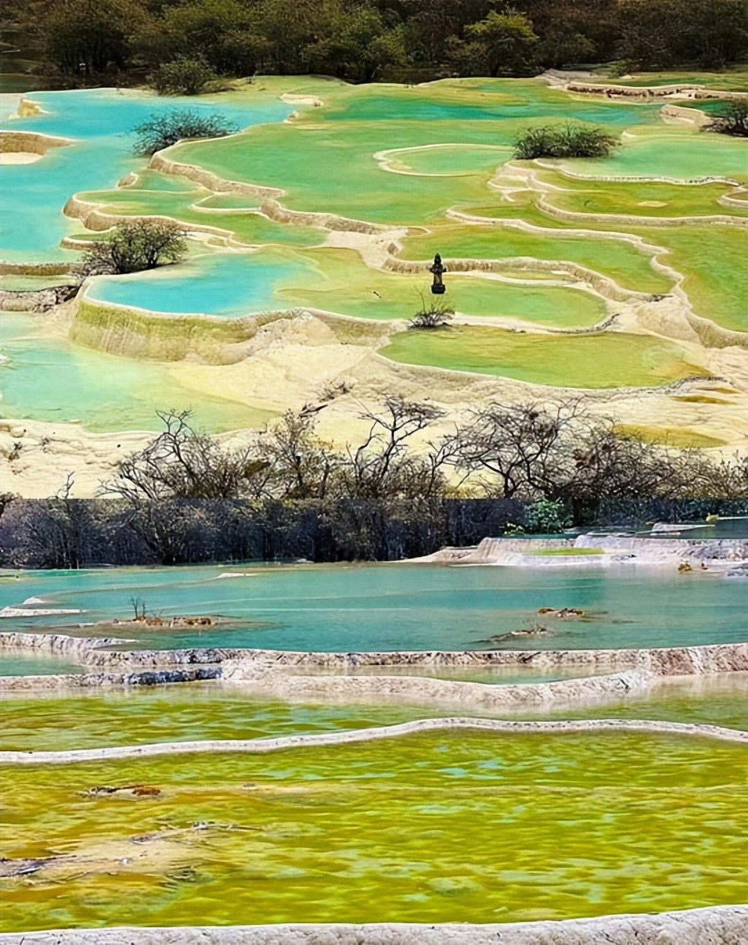 武汉到九寨沟6日游_四川旅游攻略_四川自由行痛点