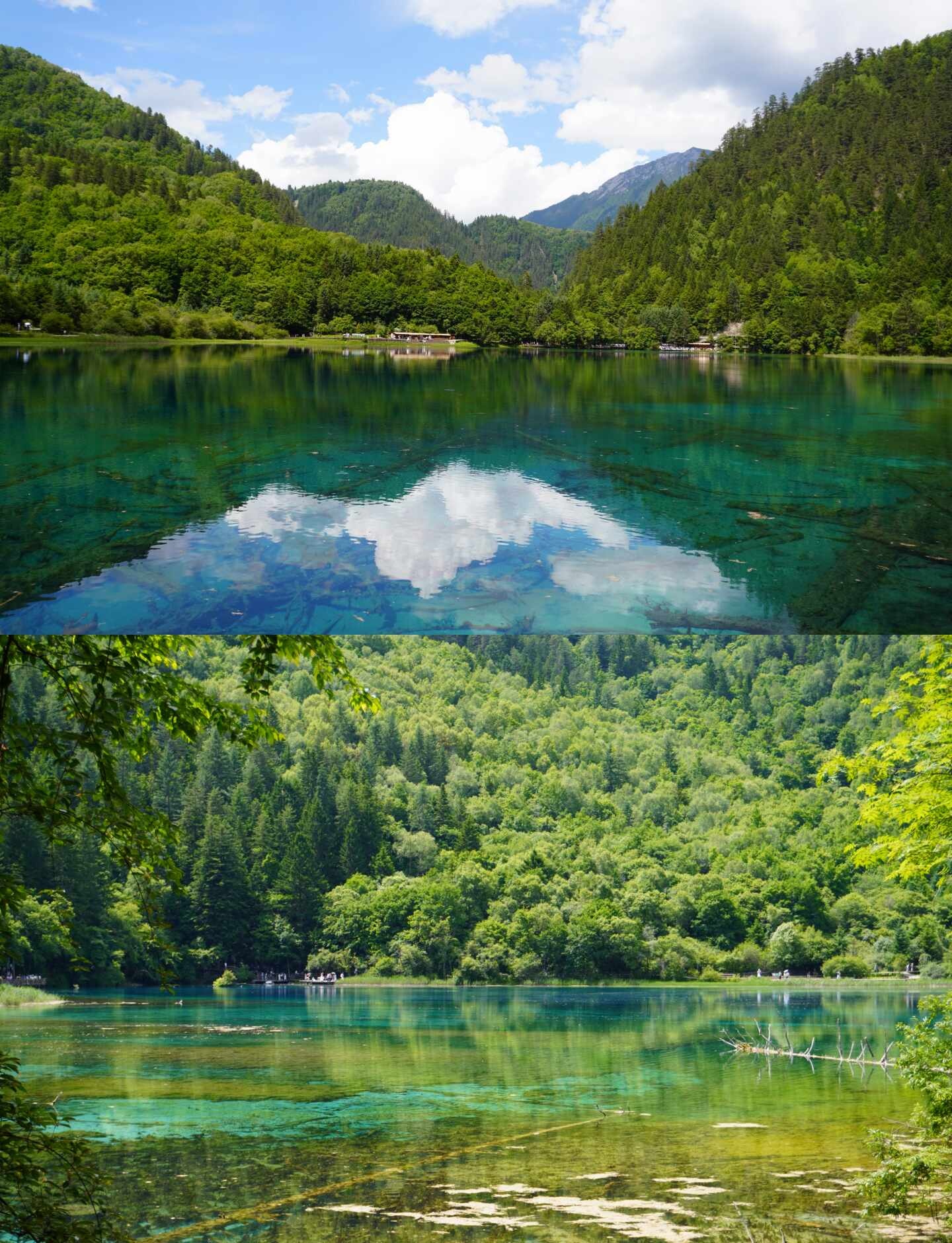 武汉到九寨沟6日游_九寨沟旅行攻略_九寨沟行程安排