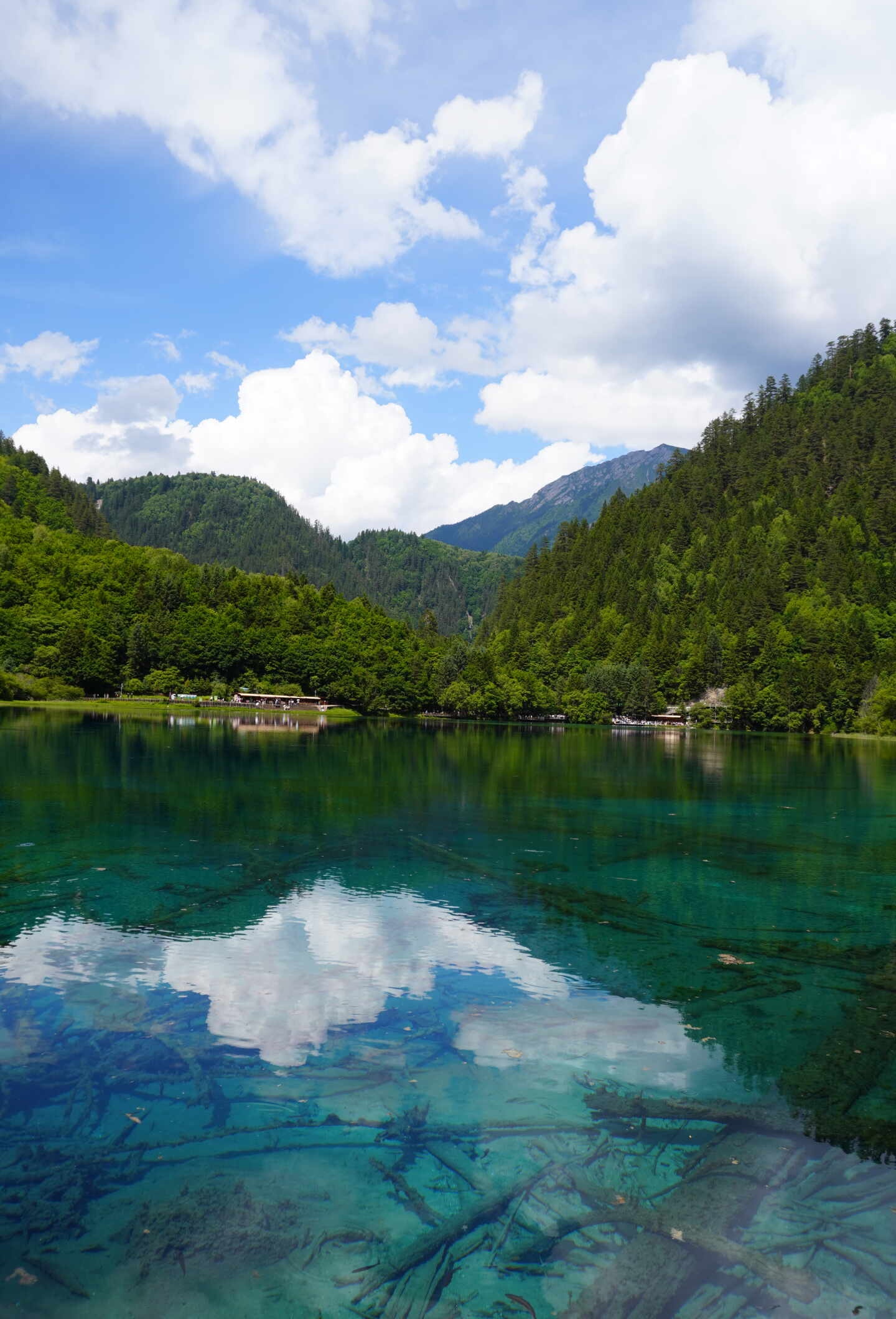 九寨沟行程安排_九寨沟旅行攻略_武汉到九寨沟6日游