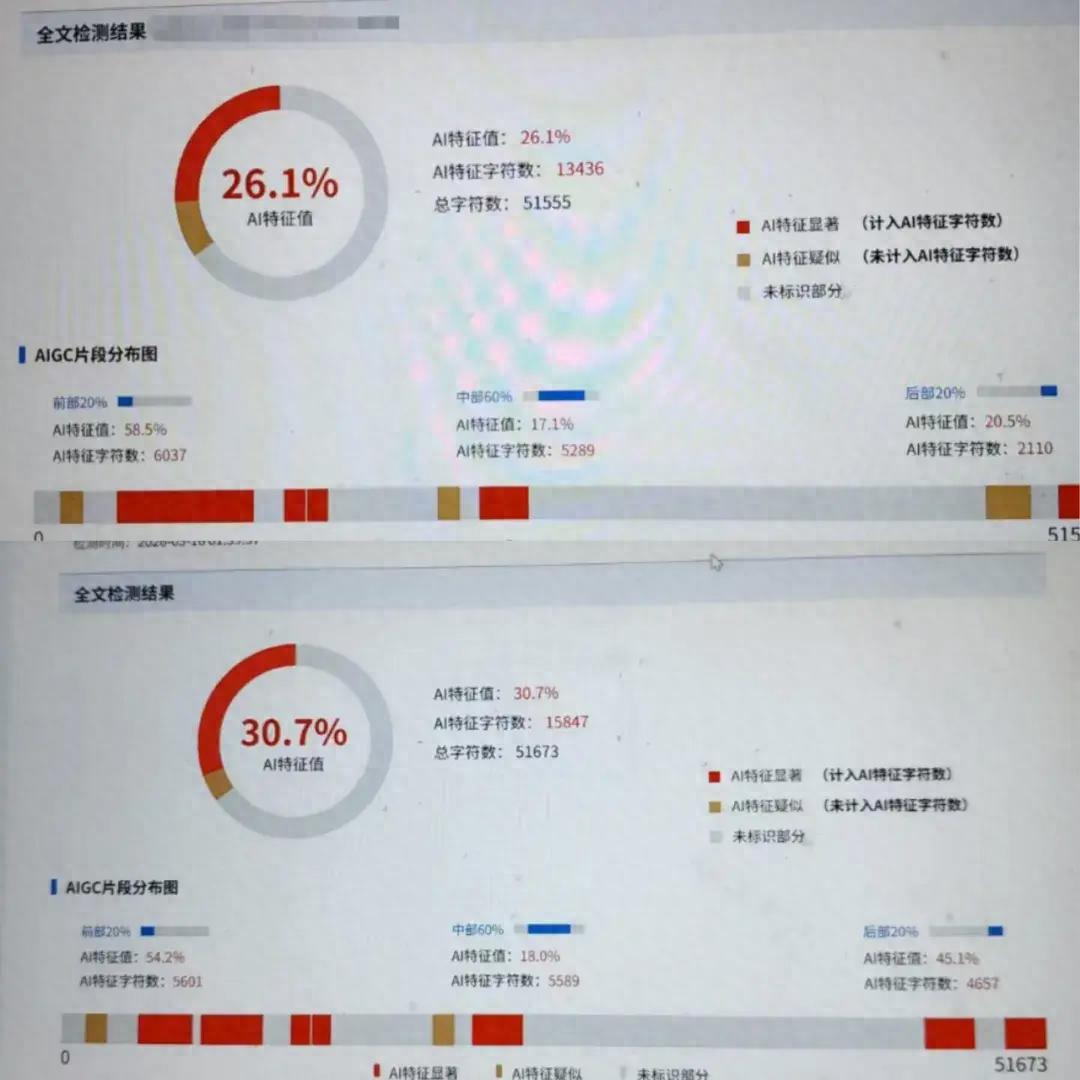 大学毕业生论文AI率检测_降AI率服务市场分析_英文文章查重