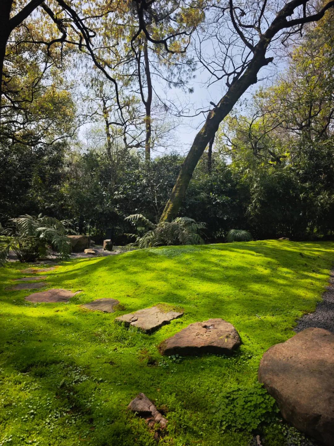 杭州湉园苔园_西湖文化广场 餐厅_西湖景区特色餐厅