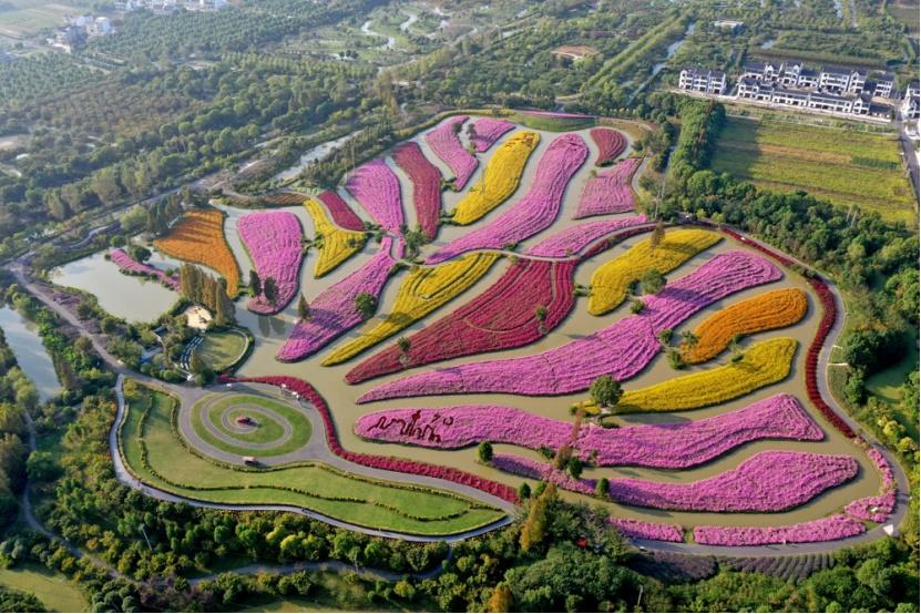 上海到金山沙滩_枫泾古镇_金山城市沙滩