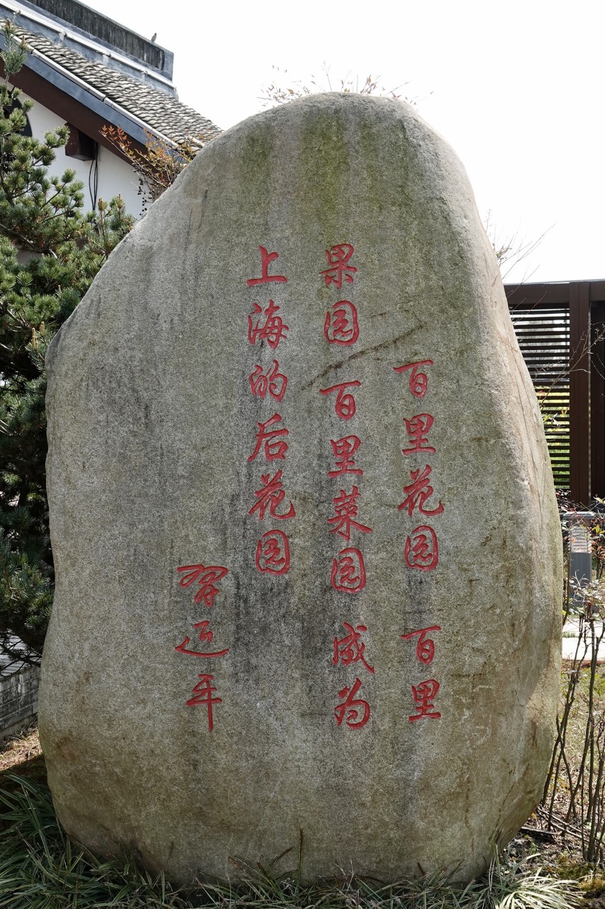 枫泾古镇_金山城市沙滩_上海到金山沙滩