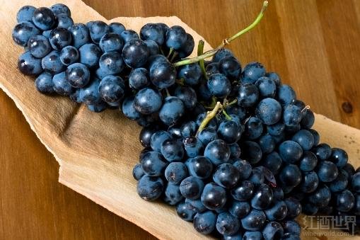 佳美葡萄酒_carmenere红酒_马尔贝克葡萄酒