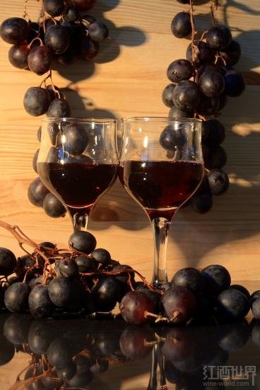 马尔贝克葡萄酒_carmenere红酒_佳美葡萄酒