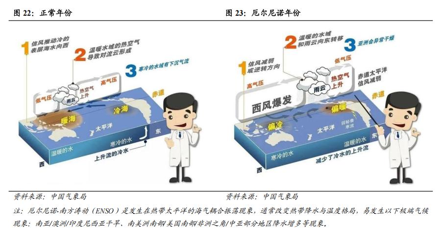 现货农产品交易技巧_地缘冲突农产品定价_生猪稳价政策