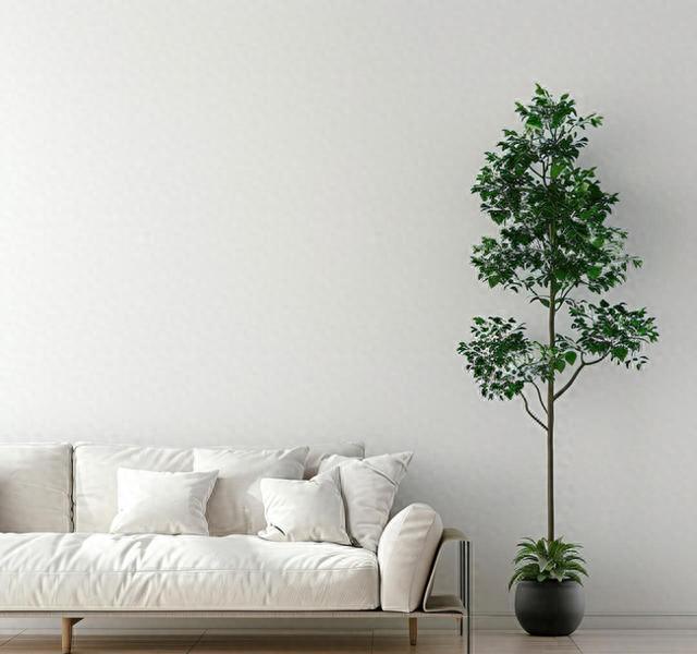 地暖安装细节_地暖选型攻略_锅炉地暖安装图