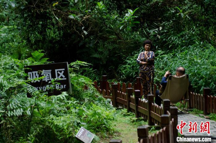 巴马候鸟人康养旅游_世界长寿之乡巴马养生_河池市巴马瑶族自治县