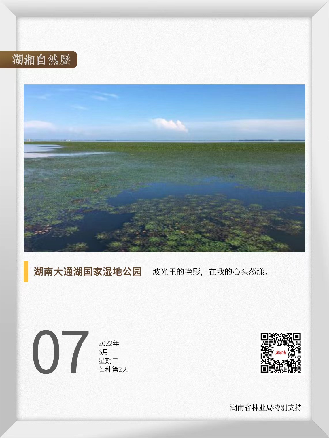 大通湖水草净化效果_大通湖生态公园_湖南大通湖国家湿地公园