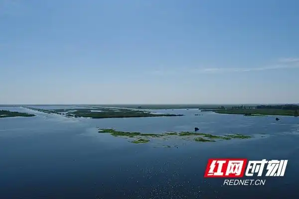 大通湖生态修复_大通湖生态公园_大通湖水质治理