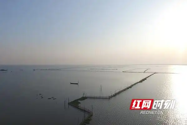 大通湖生态公园_大通湖水质治理_大通湖生态修复