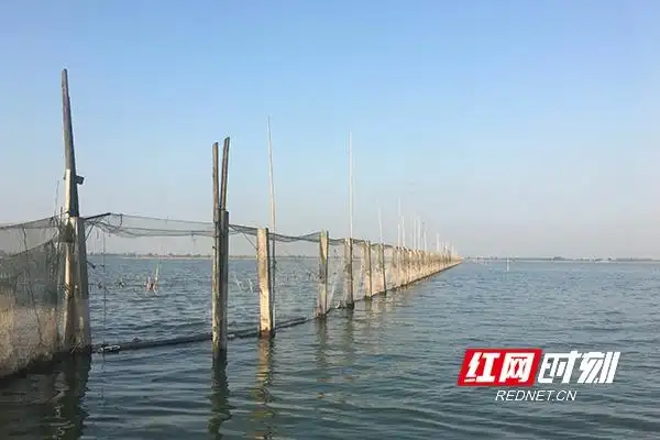 大通湖水质治理_大通湖生态修复_大通湖生态公园