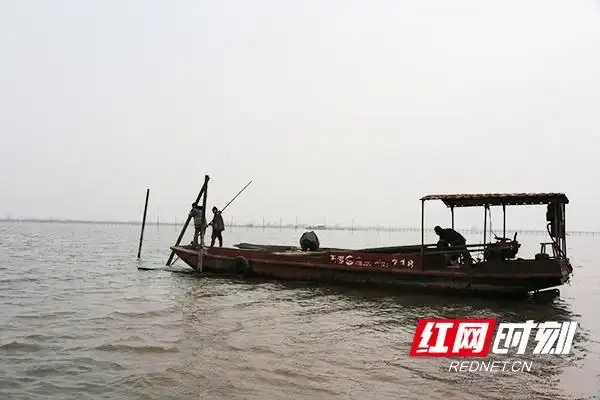 大通湖水质治理_大通湖生态修复_大通湖生态公园