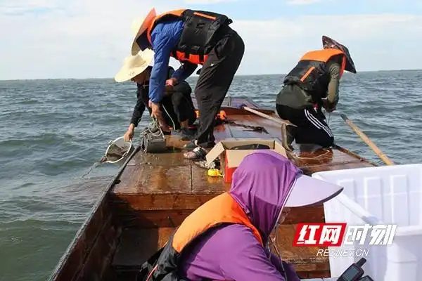大通湖水质治理_大通湖生态公园_大通湖生态修复