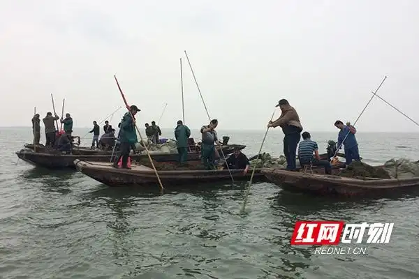 大通湖生态修复_大通湖生态公园_大通湖水质治理