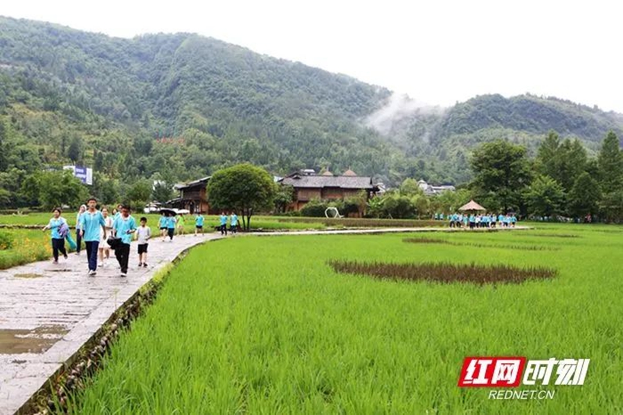 亲子暑假旅游线路_湖南亲子游推荐_暑假游玩