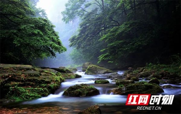 亲子暑假旅游线路_湖南亲子游推荐_暑假游玩