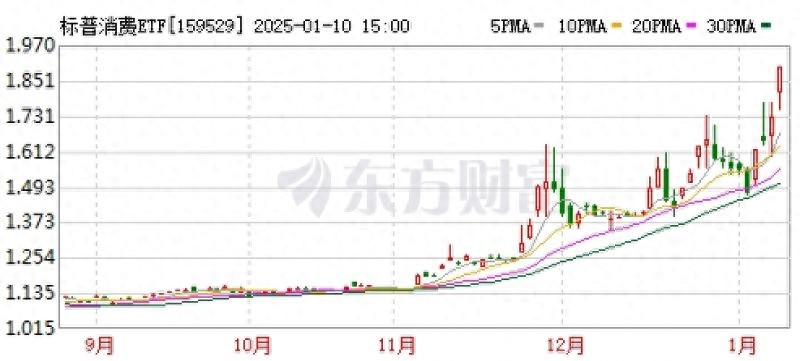 QDII基金溢价风险_260103_标普消费ETF停牌原因