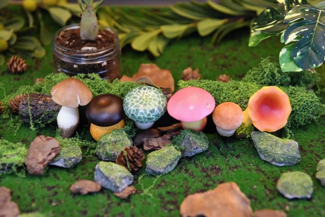 兰花花生态食品有限公司_云南野生菌产业_云南野生菌出口