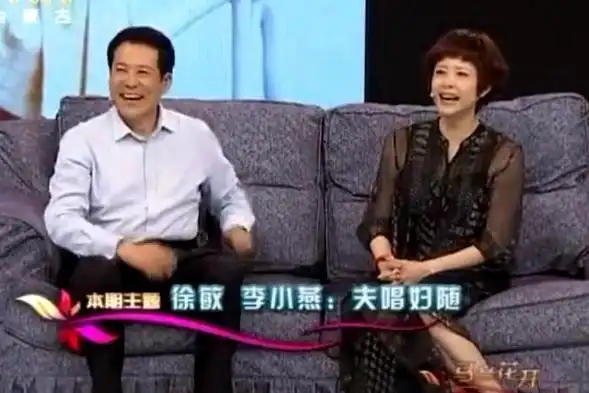李小燕与徐敏婚姻_国家一级演员李小燕_高小燕的丈夫简历