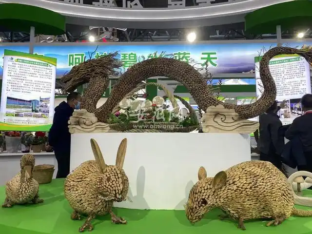 秸秆新技术利用餐具_秸秆制衣抑菌除螨可降解_秸秆综合利用新技术
