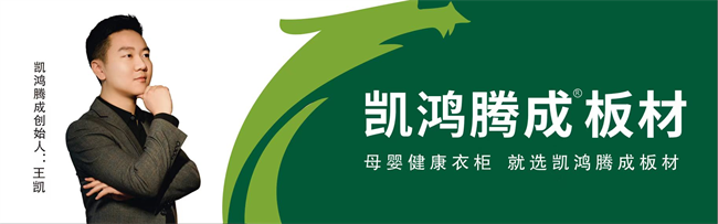兔宝宝杰家隆饰板管家好太太美丽家桥牌杉木尼象山水月天山板材凯鸿腾成_环保板材十大品牌中品榜_杉木生态板第一品牌